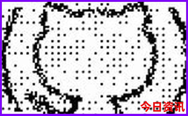 穷游的都是什么人